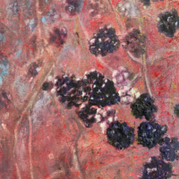 Blackberries'time